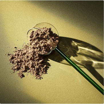 supplements | Vitamins/minerals